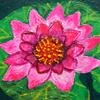 Lotus Flower