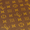 Shoe Trunk in Monogram Canvas