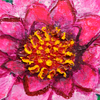 Lotus Flower