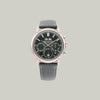 Perpetual Calendar Split-Seconds Chronograph Ref. 5204G-001