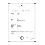 Patek Philippe Ellipse Ref. 3848/17 18K white gold papers